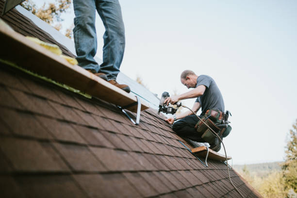 Quick and Trustworthy Emergency Roof Repair Services in Phillipsburg, GA