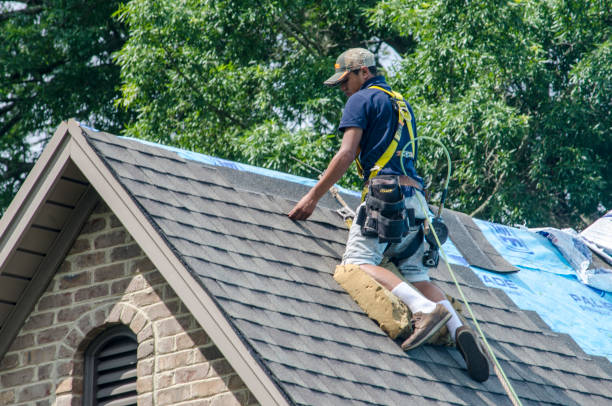 Best Emergency Roof Repair  in Phillipsburg, GA